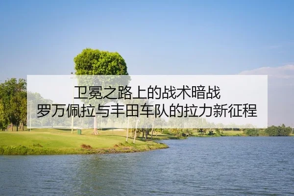 wei-mian-zhi-lu-shang-de-zhan-shu-an-zhan-luo-wan-pei-la-yu-feng-tian-che-dui-de-la-li-xin-zheng-cheng-2-606.jpg